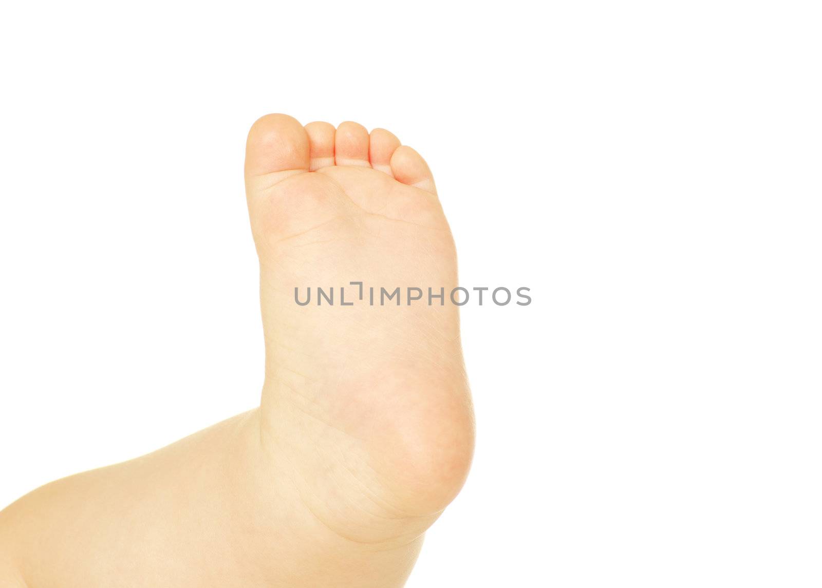newborn baby feet  isolated on white