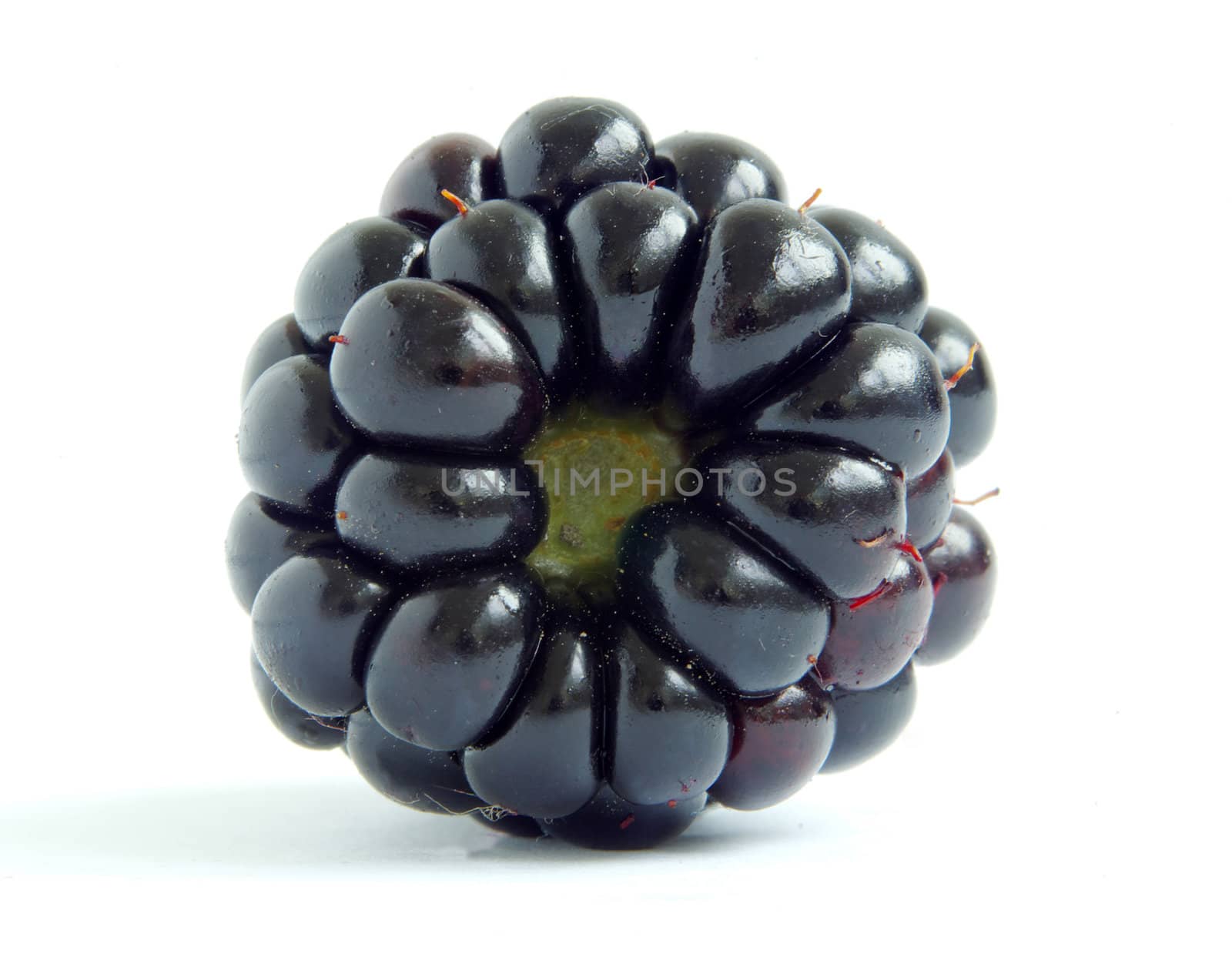 blackberry isolated on white background