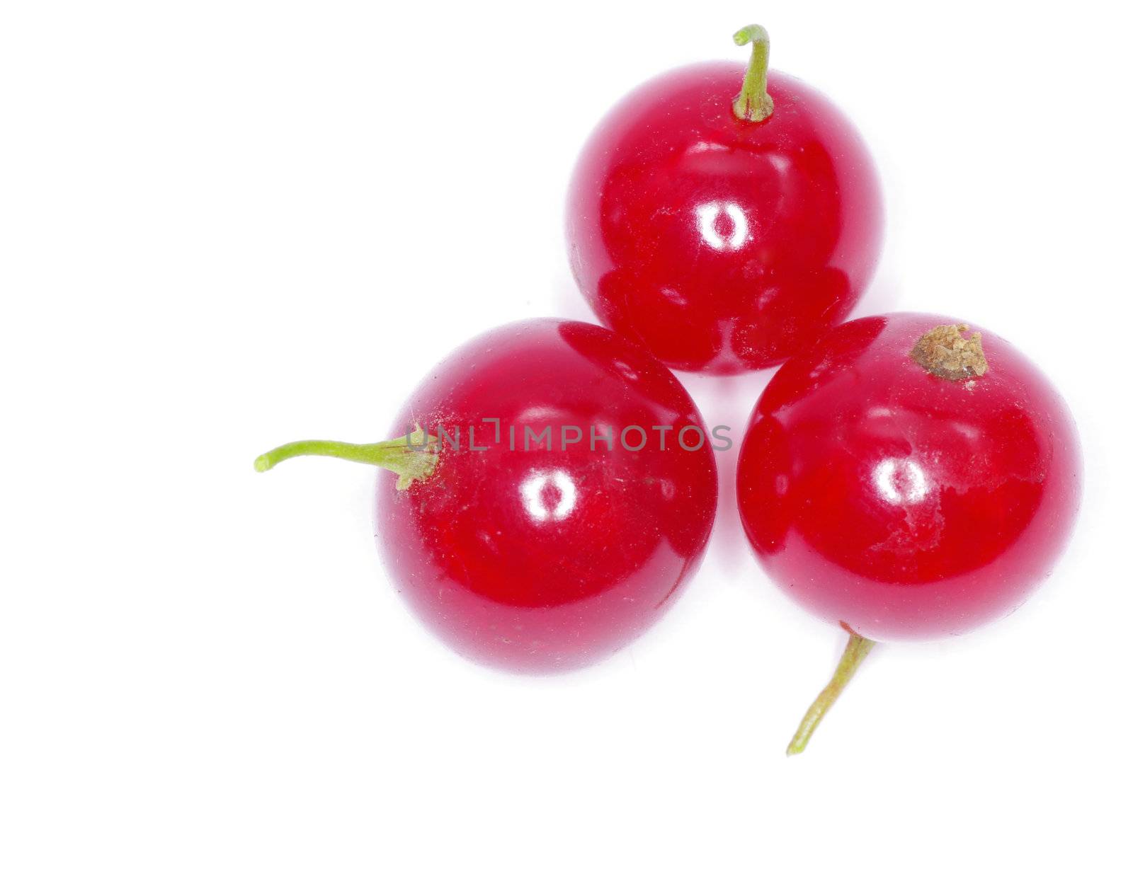 red currant isolated on a white background