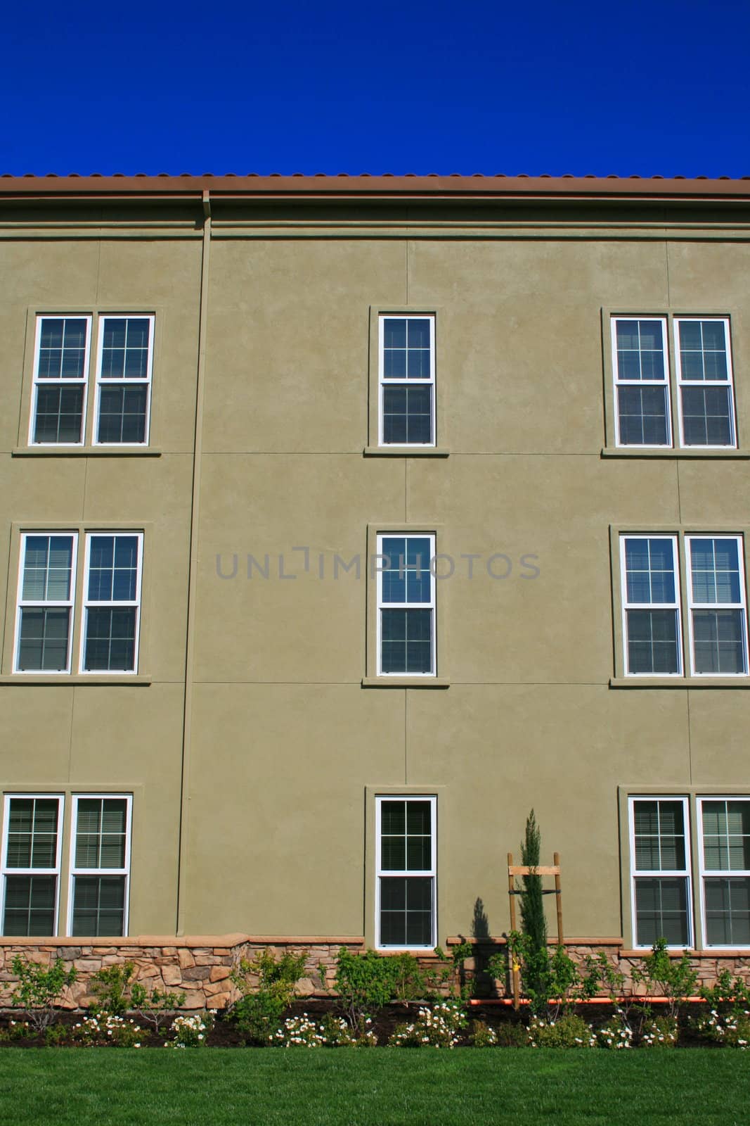 Close up of the windows of a building.
