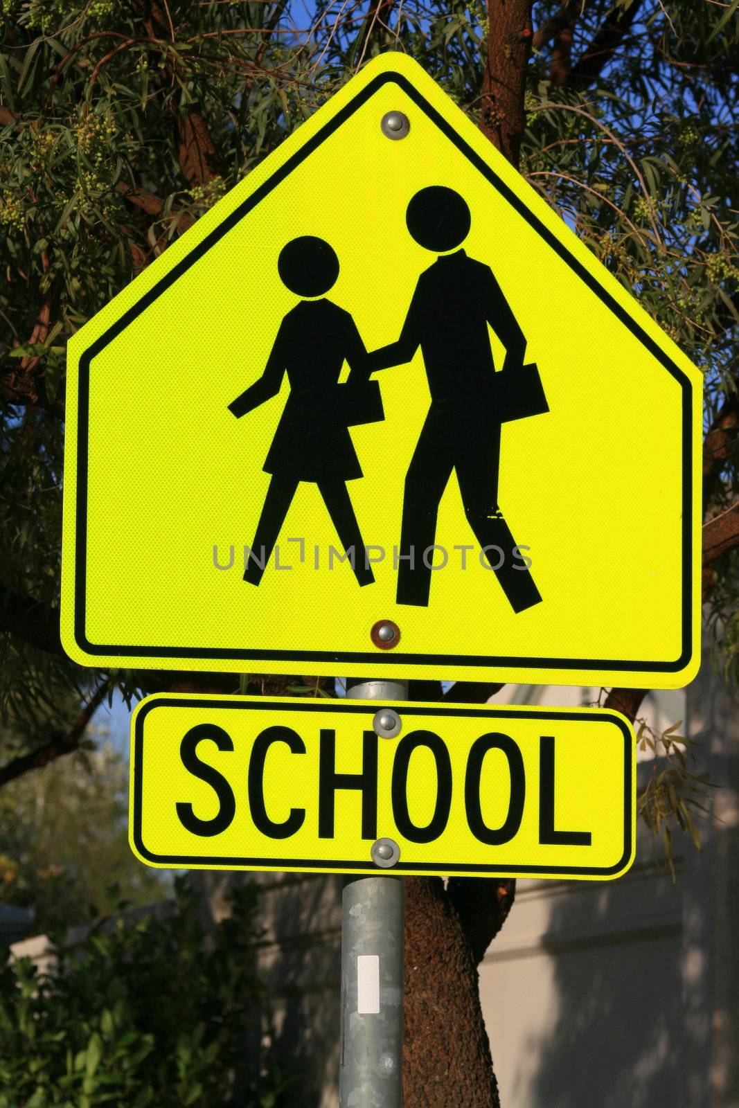 School Crossing Road Sign by MichaelFelix