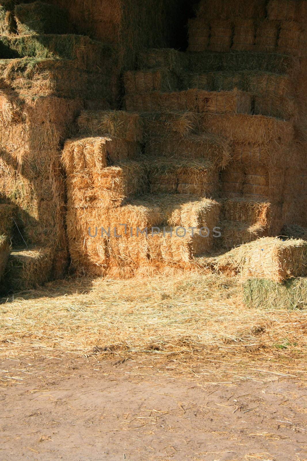 Hay stack stored in a barn in a cattle farm.
