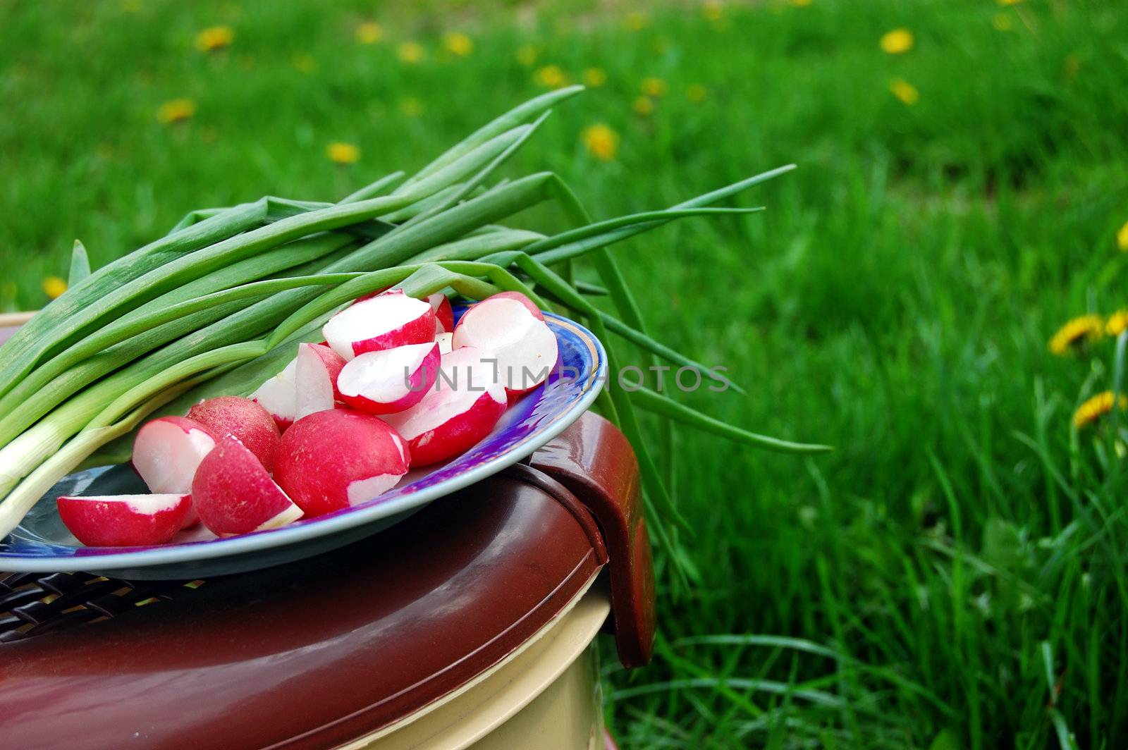 reddish and green onion, food basket on nature background