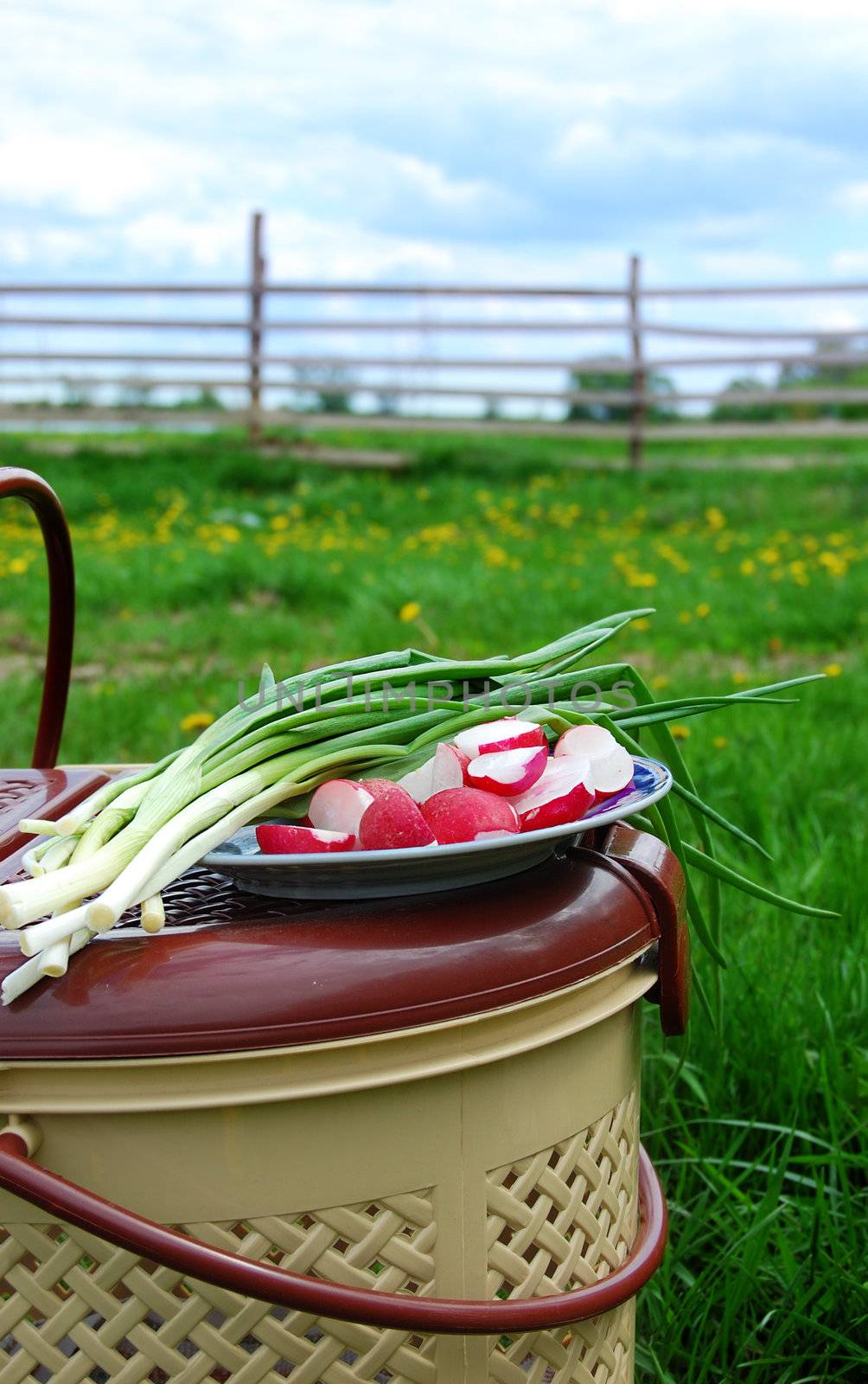 reddish and green onion, food basket on nature background