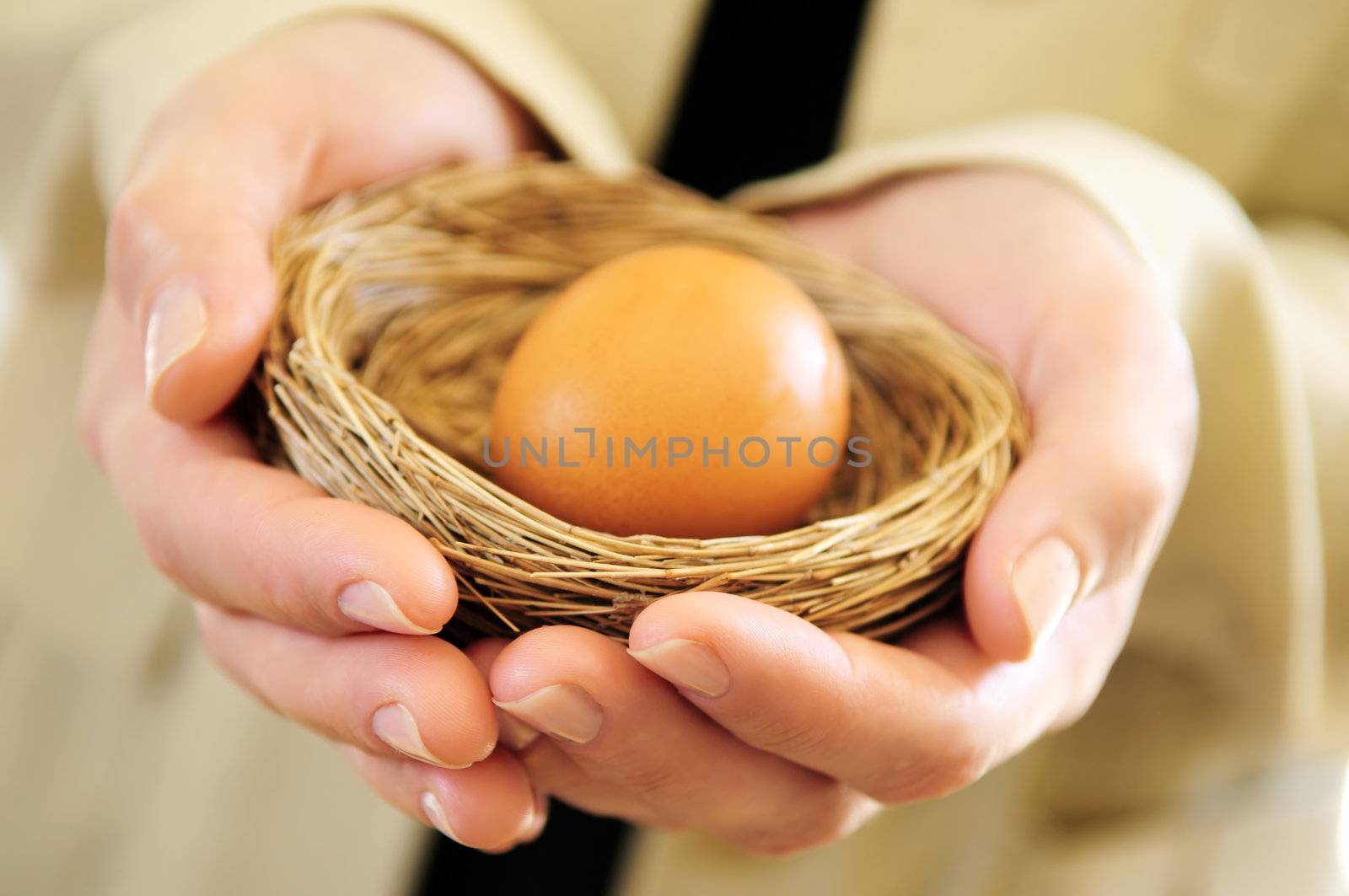 Hands of a woman holding a nest with an egg