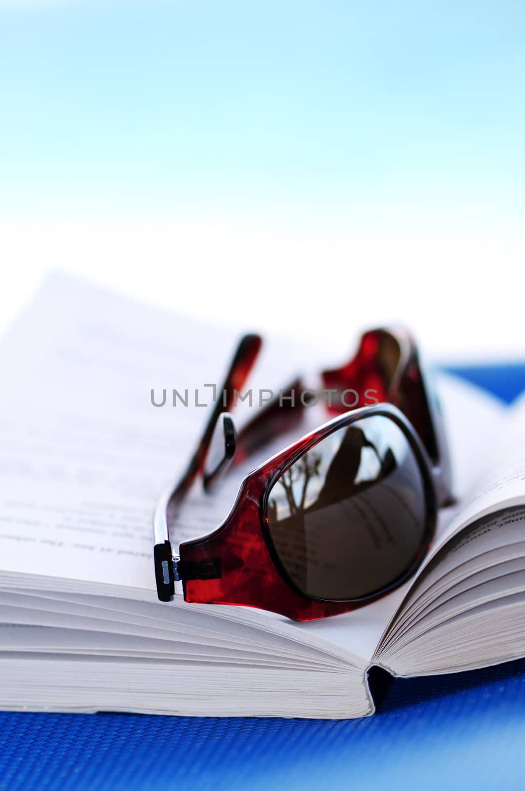 Sunglasses and book on beach chair by elenathewise