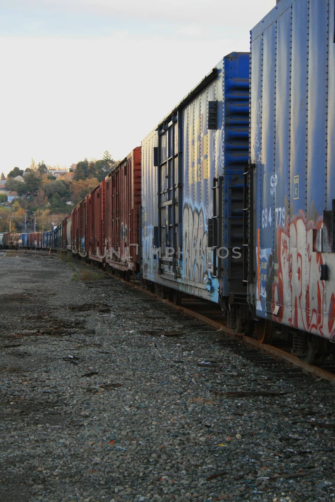 A row of train containers in a train yard.