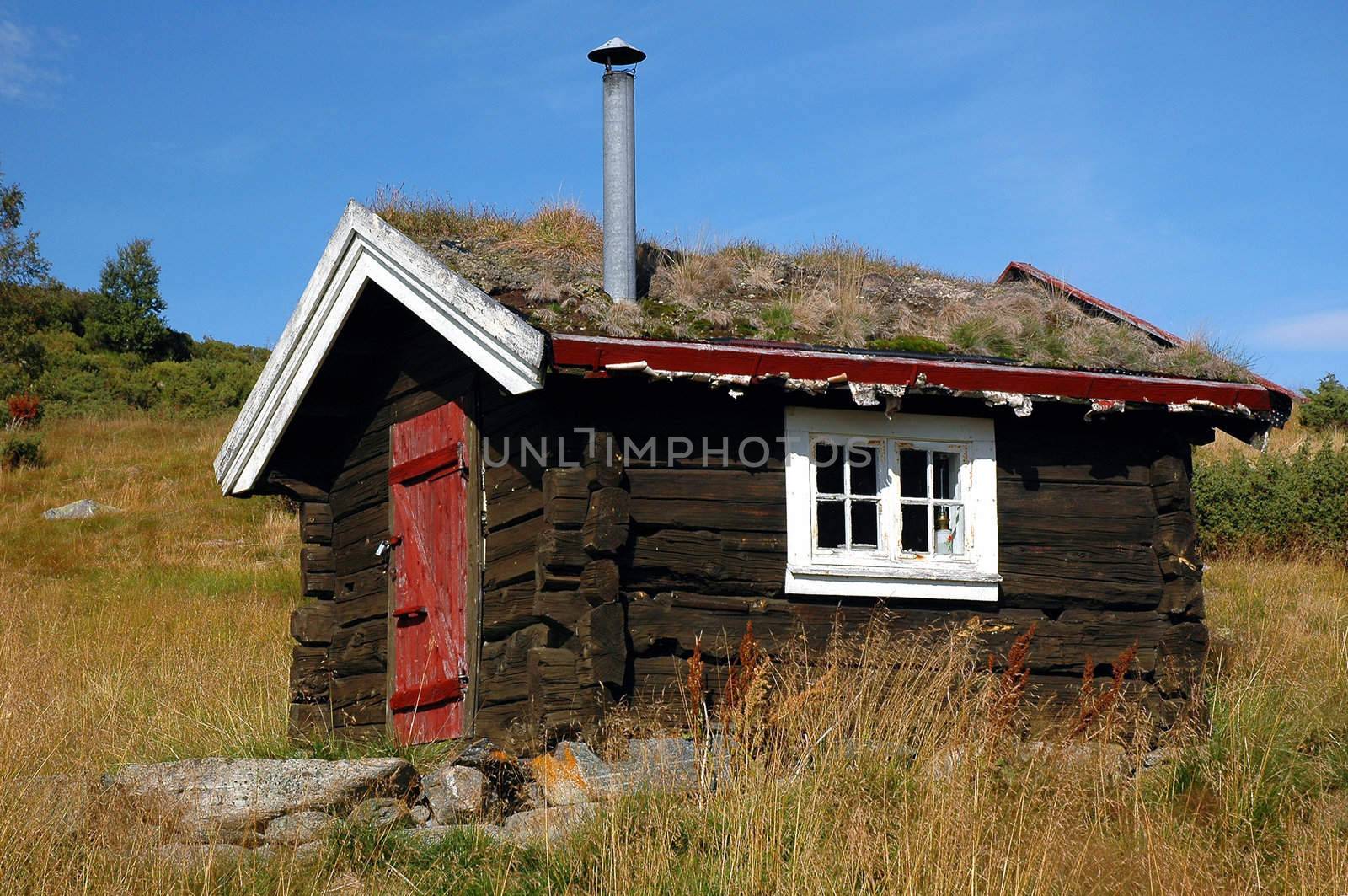 Hardangervidda, Norway. 2006.