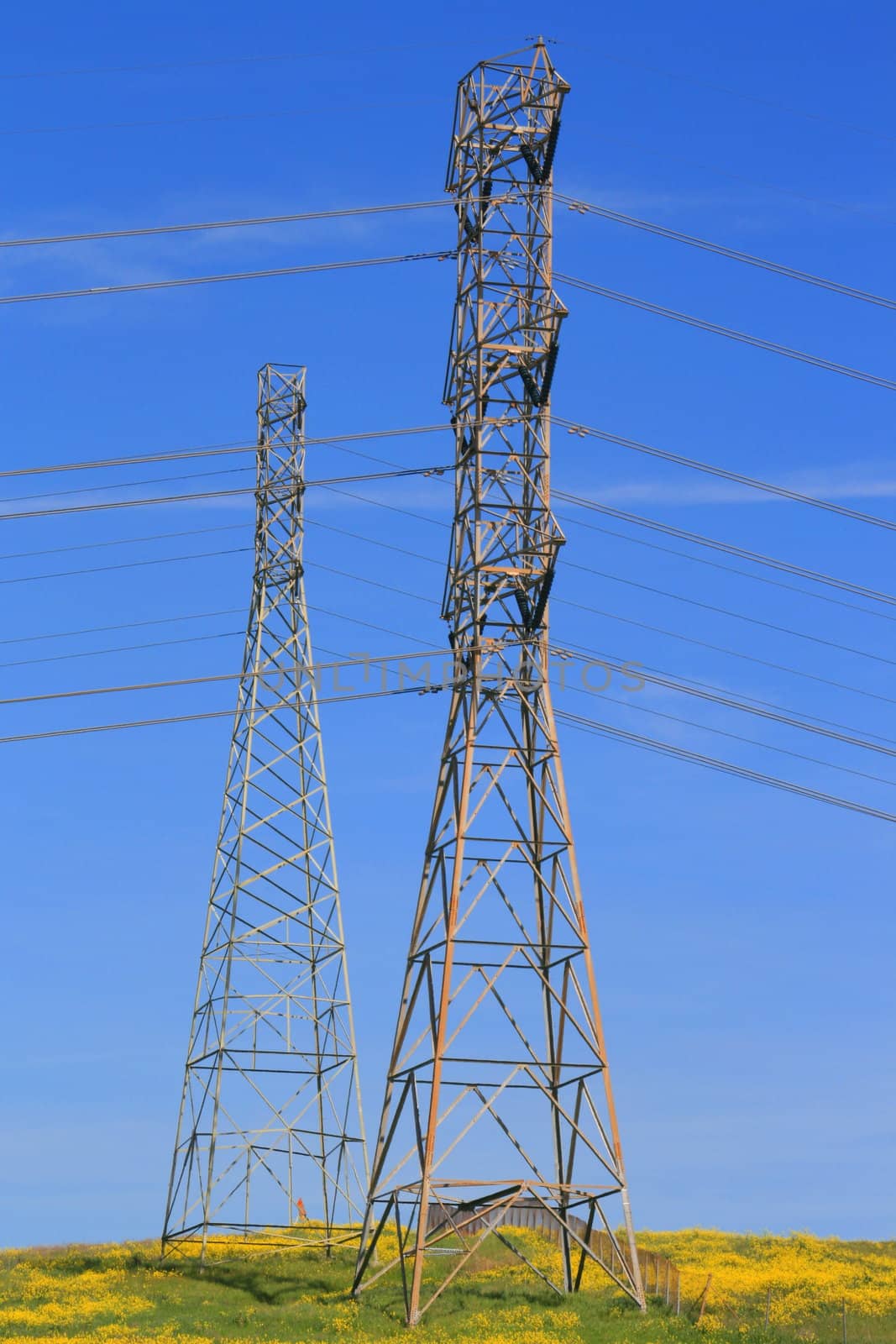 Two electricity pylons on a hill over clear blue sky.
