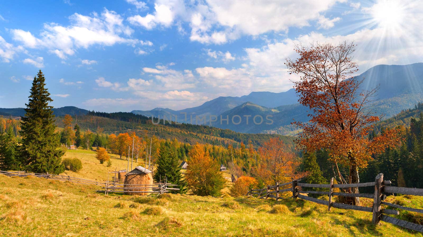 Beautiful autumn landscape in the mountains by andrew_mayovskyy