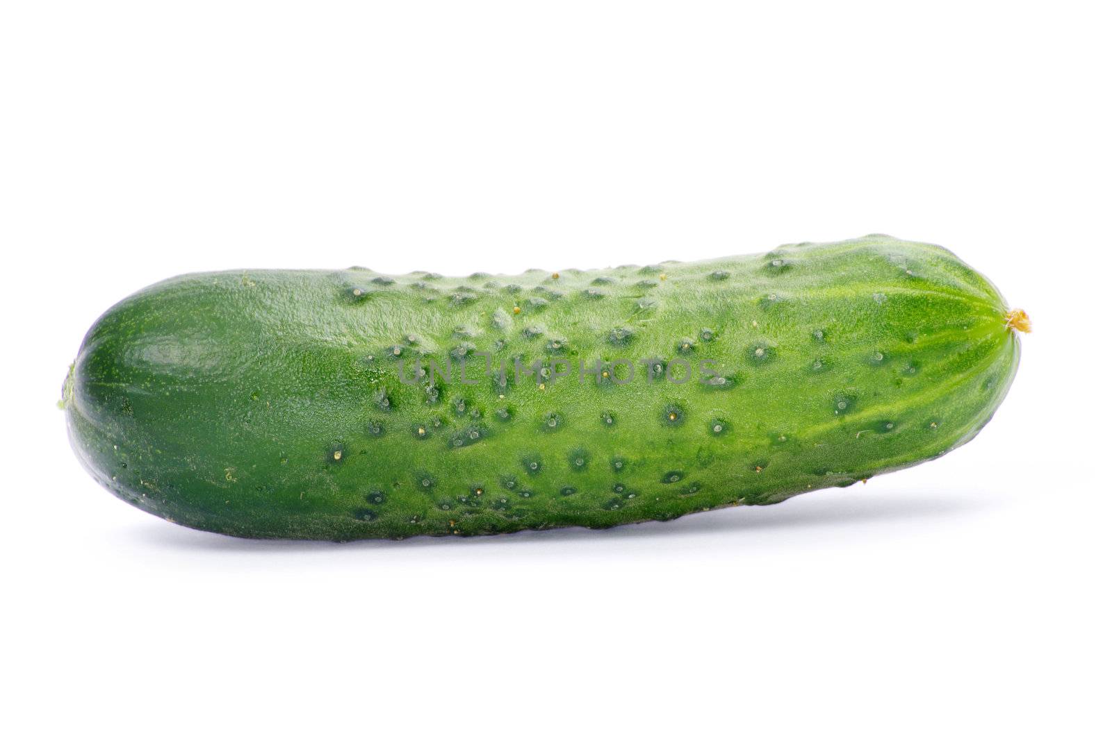 cucumbers on the white background