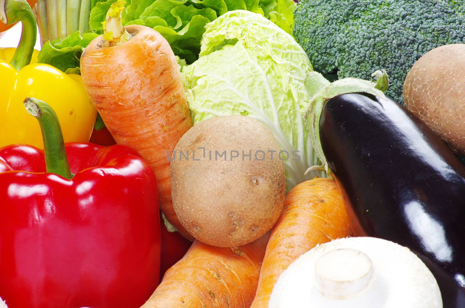 fresh vegetables on the white background