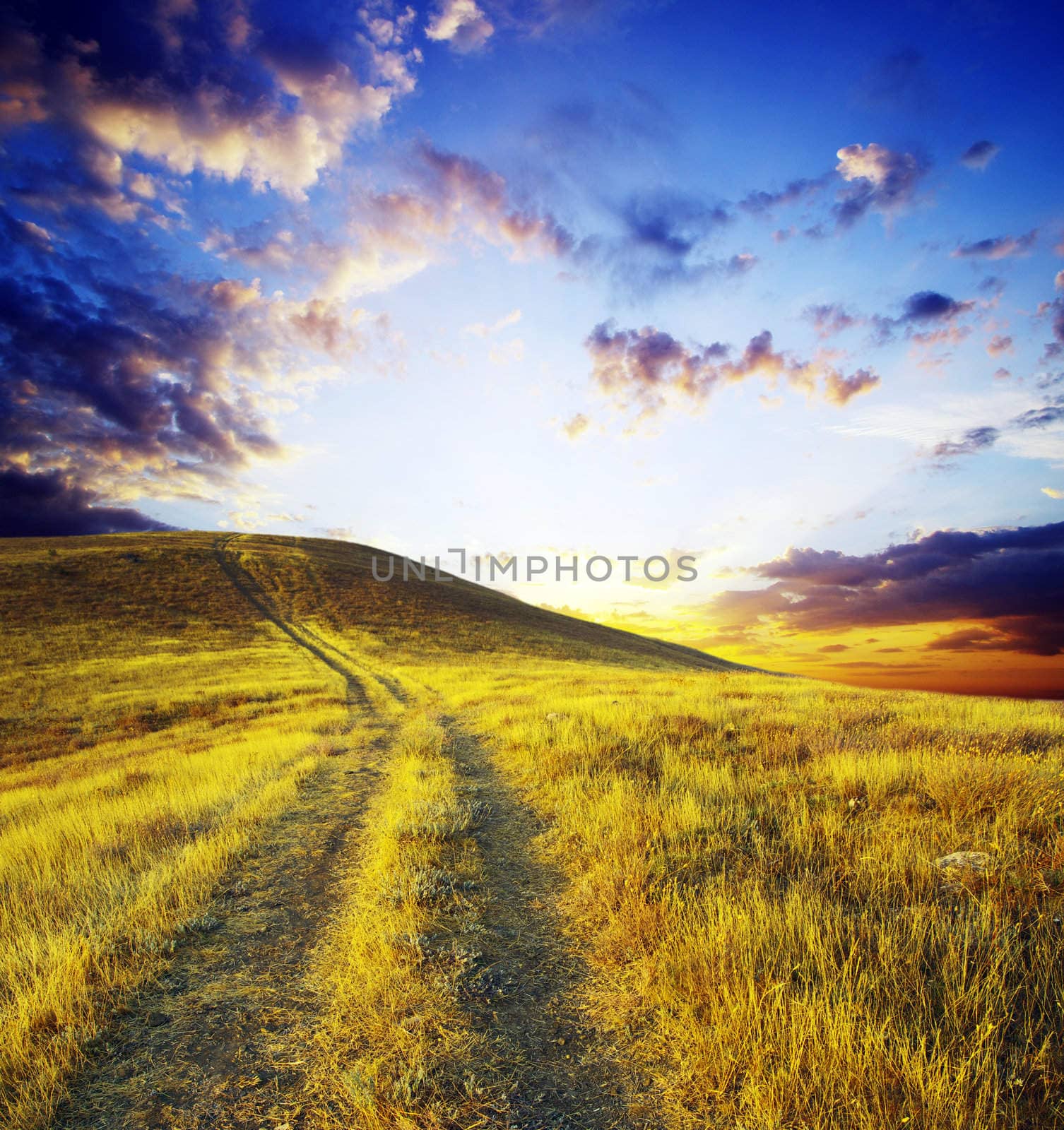 path on mountain meadow in nice day