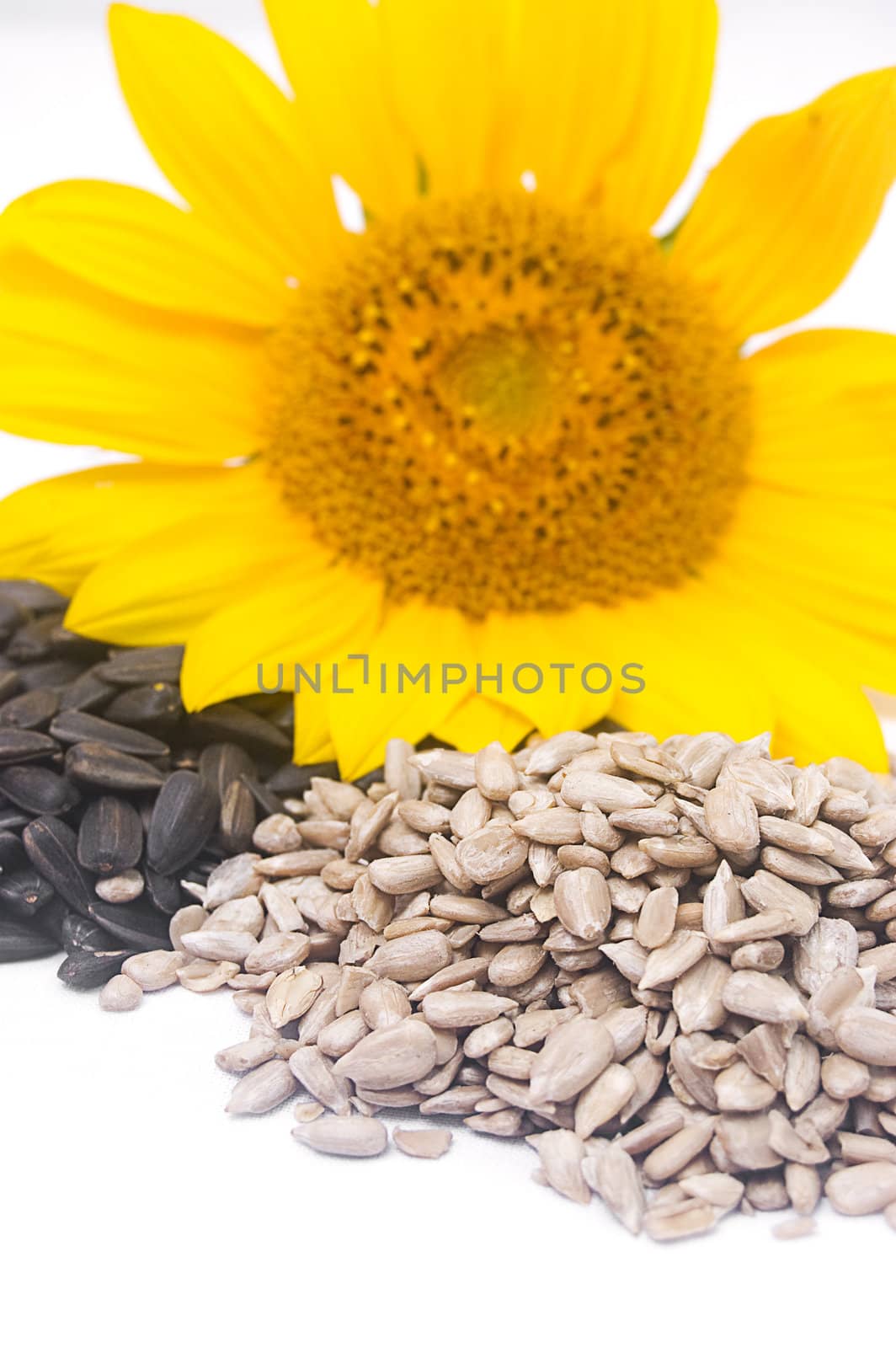 Sunflower, black seeds andwhite kernels