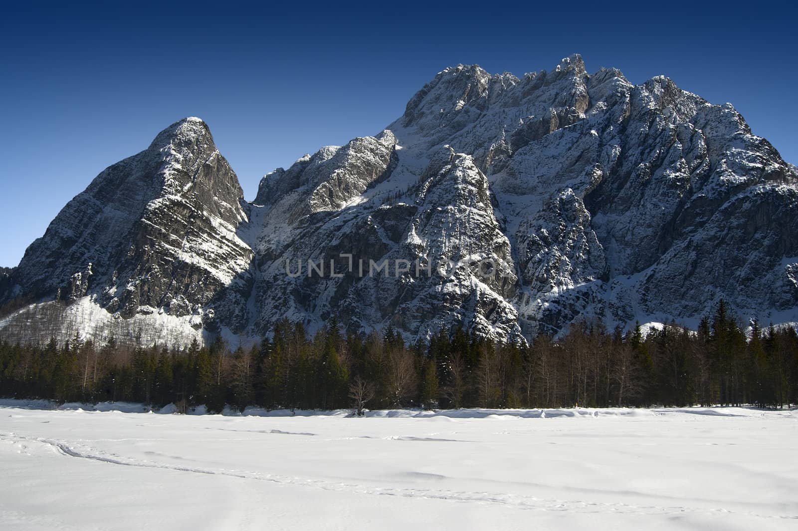 Group of snowy peaks and blue sky with wood - Alps Italy