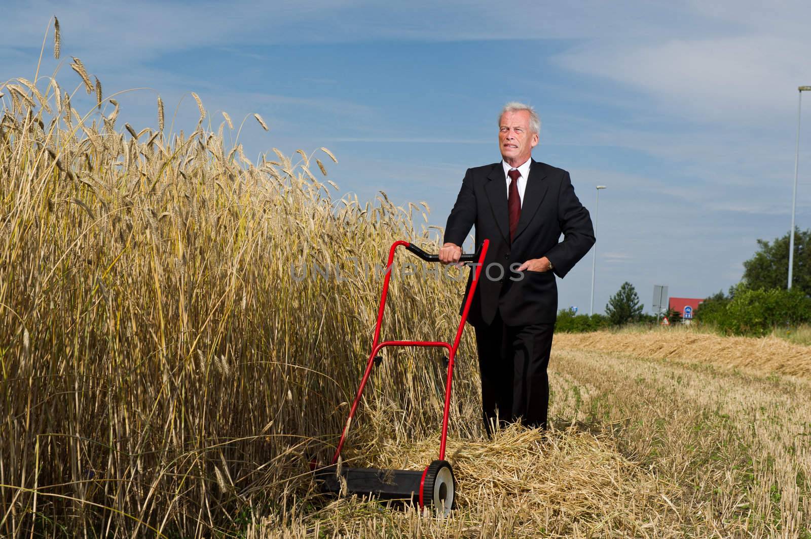 Businessman surveying a challenge with courage and determination as he assesses a large field of ripe golden wheat ready for harvesting with just a hand mower at his disposal