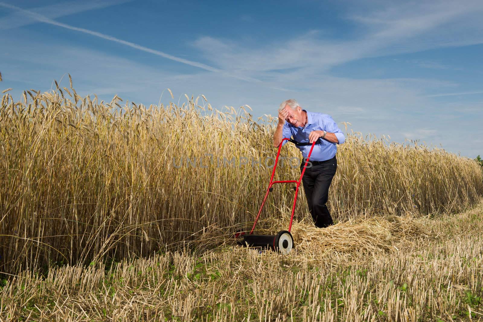 An exhausted senior businessman pauses for a breather while mowing and harvesting a field of ripe golden grain with a manual push type lawnmower, conceptual of business perseverance and determination