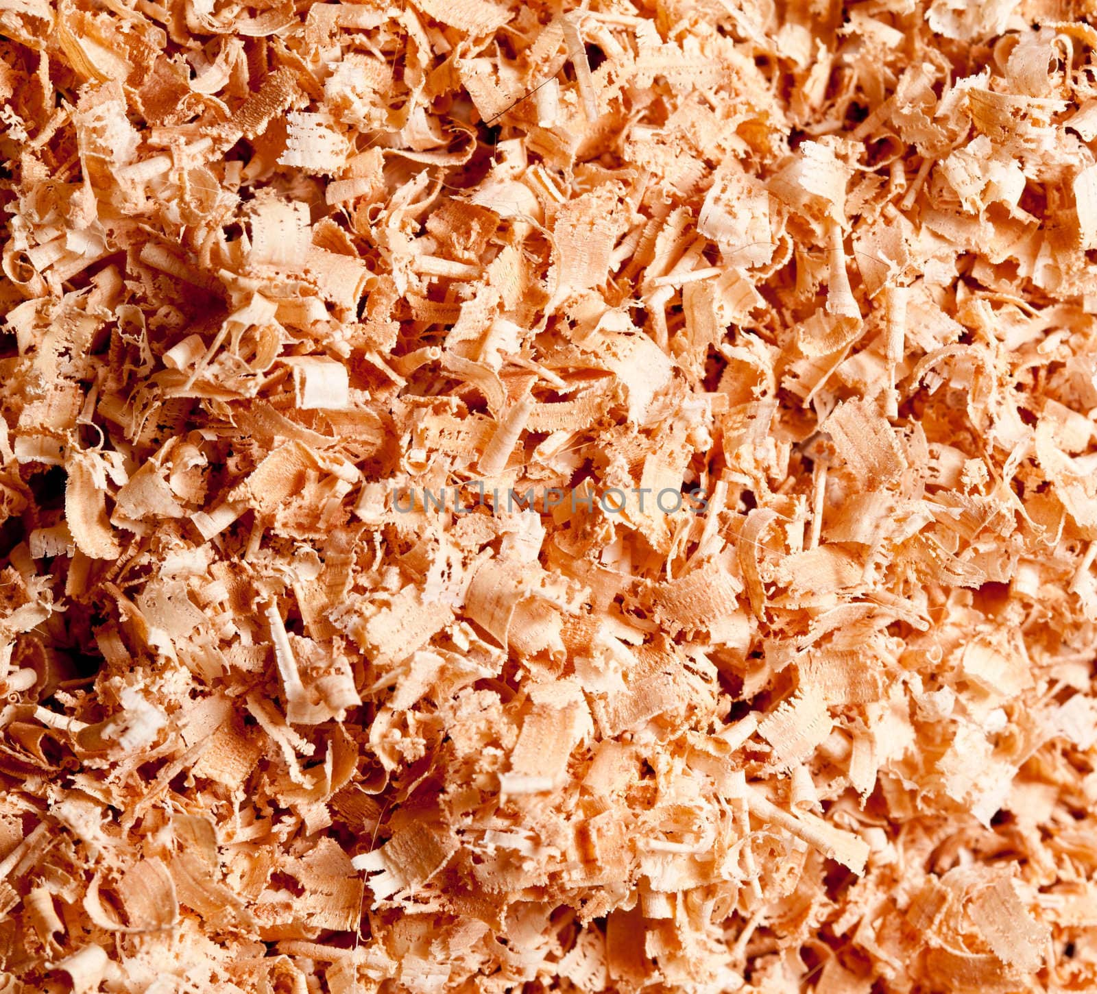 Sawdust wood chippings brushed into a pile in closeup