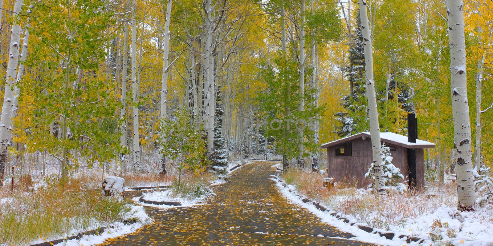 Early snowfall at the Sunrise Campground of Cache National Forest in Utah.