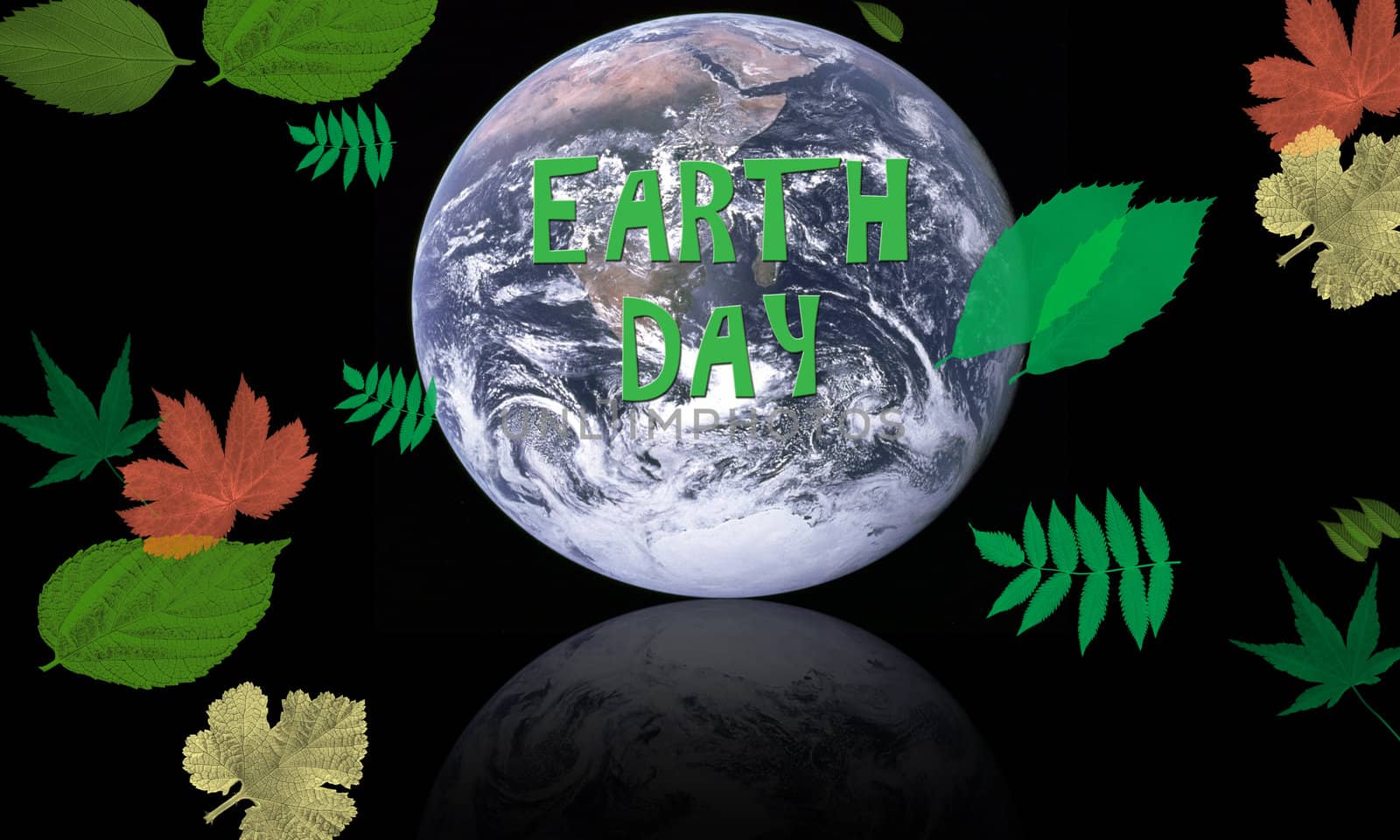 earth day with leaves