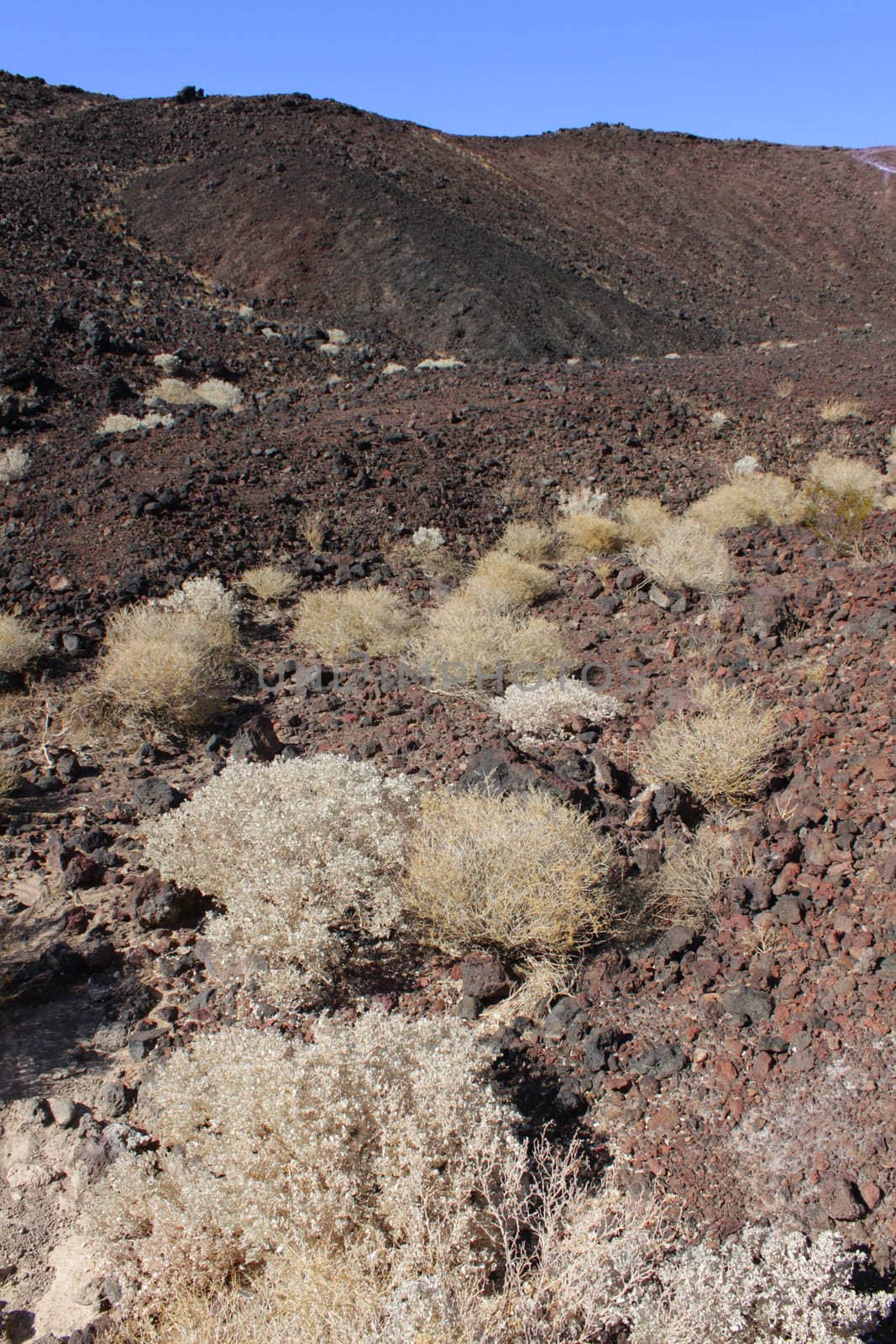Volcanic rock scatters the center of Amboy Crater in the deserts of southern California.