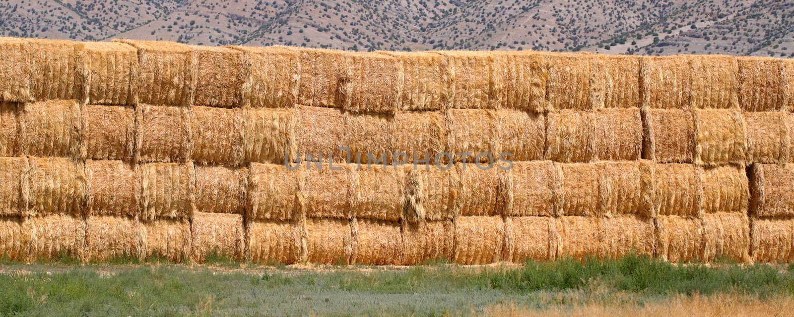 Hay Bale Background by Wirepec