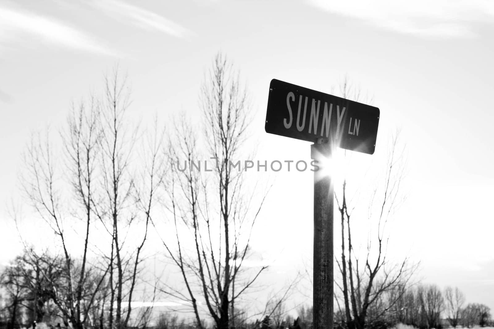 Sunny Lane by koku323