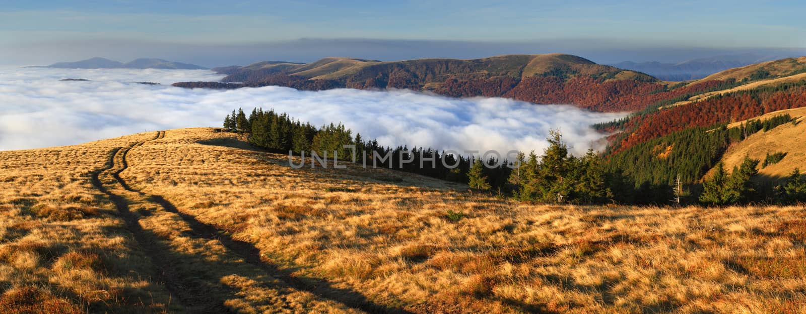 Colorful autumn landscape in the mountains