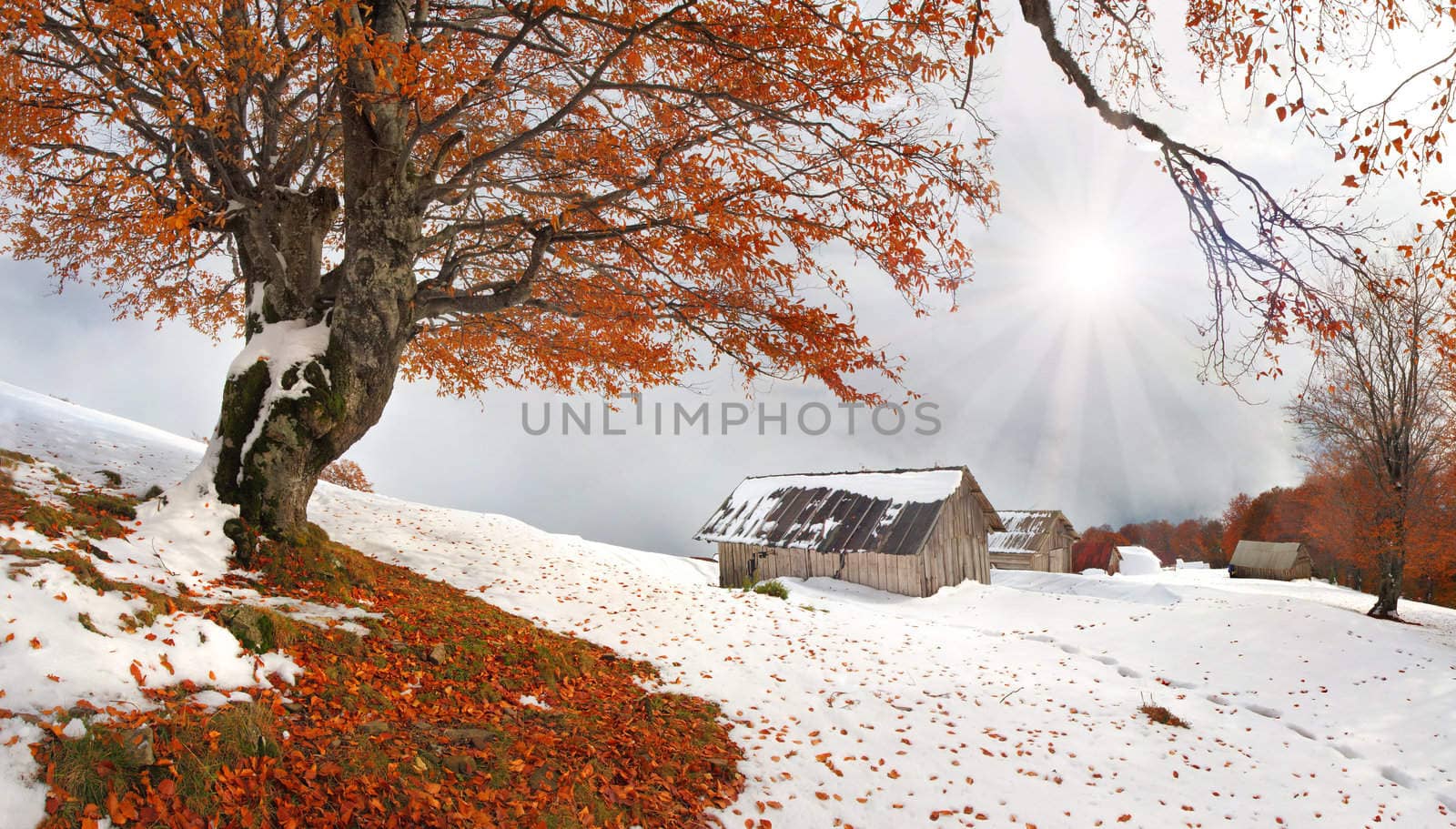 First autumn sudden snow in mountains