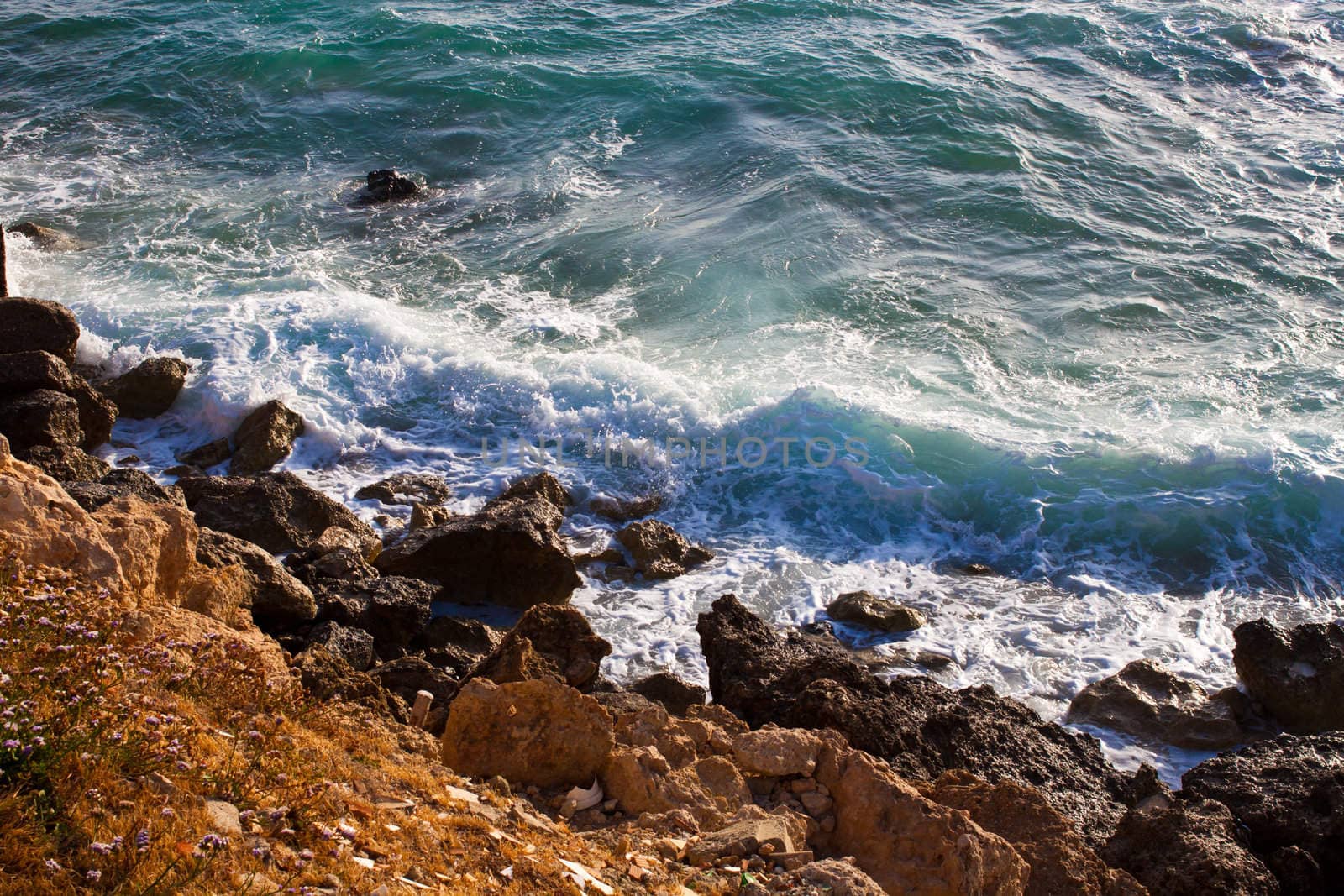 photo bank blue sea under blue sky