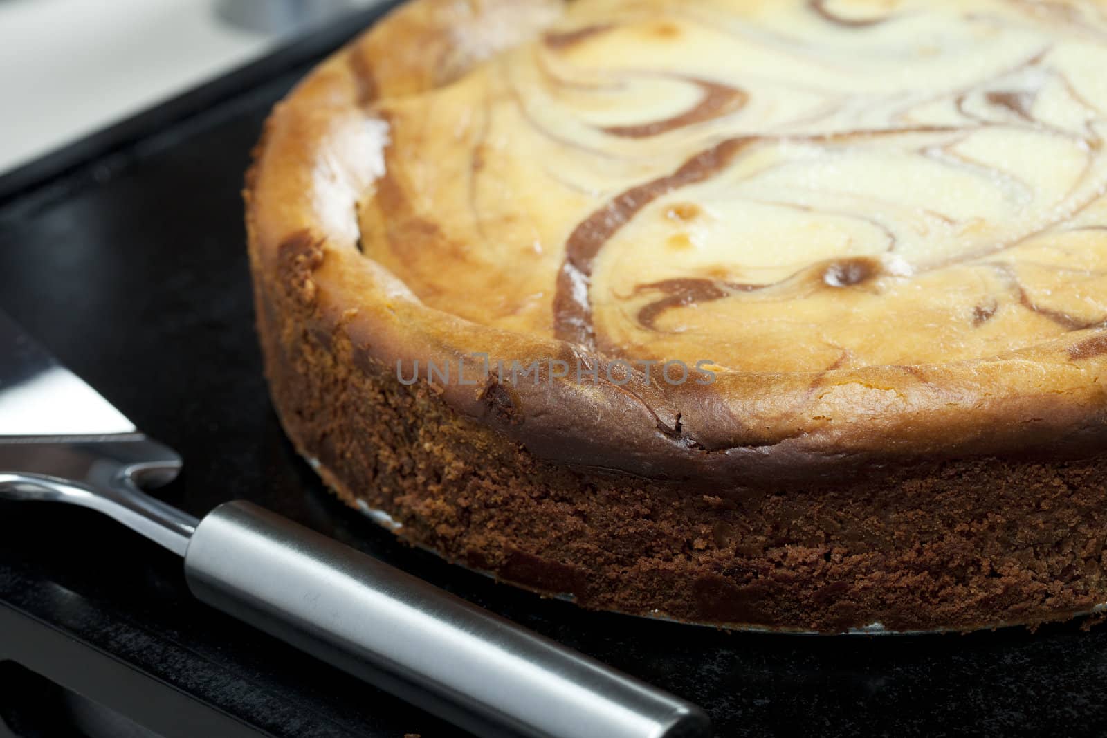 Fresh chocolate cheesecake ready to be cut.