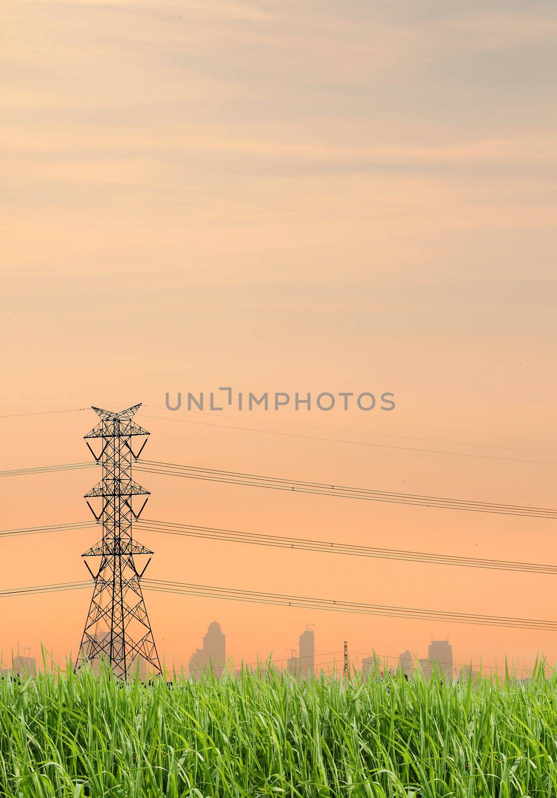Field of pylon. Sunset
