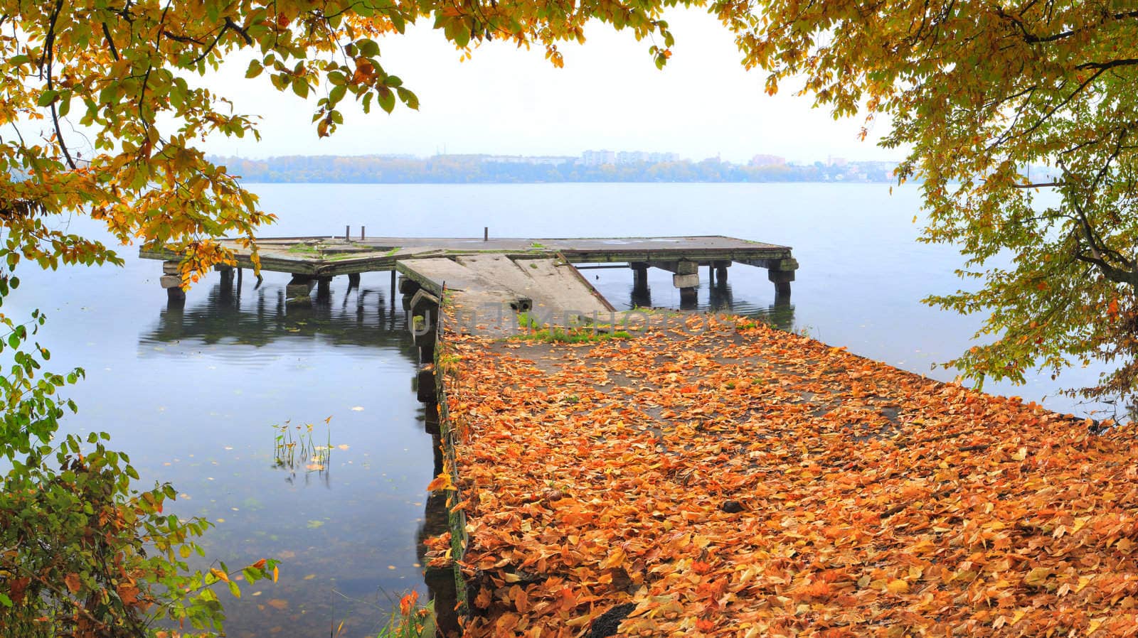 autumn on the quay by andrew_mayovskyy