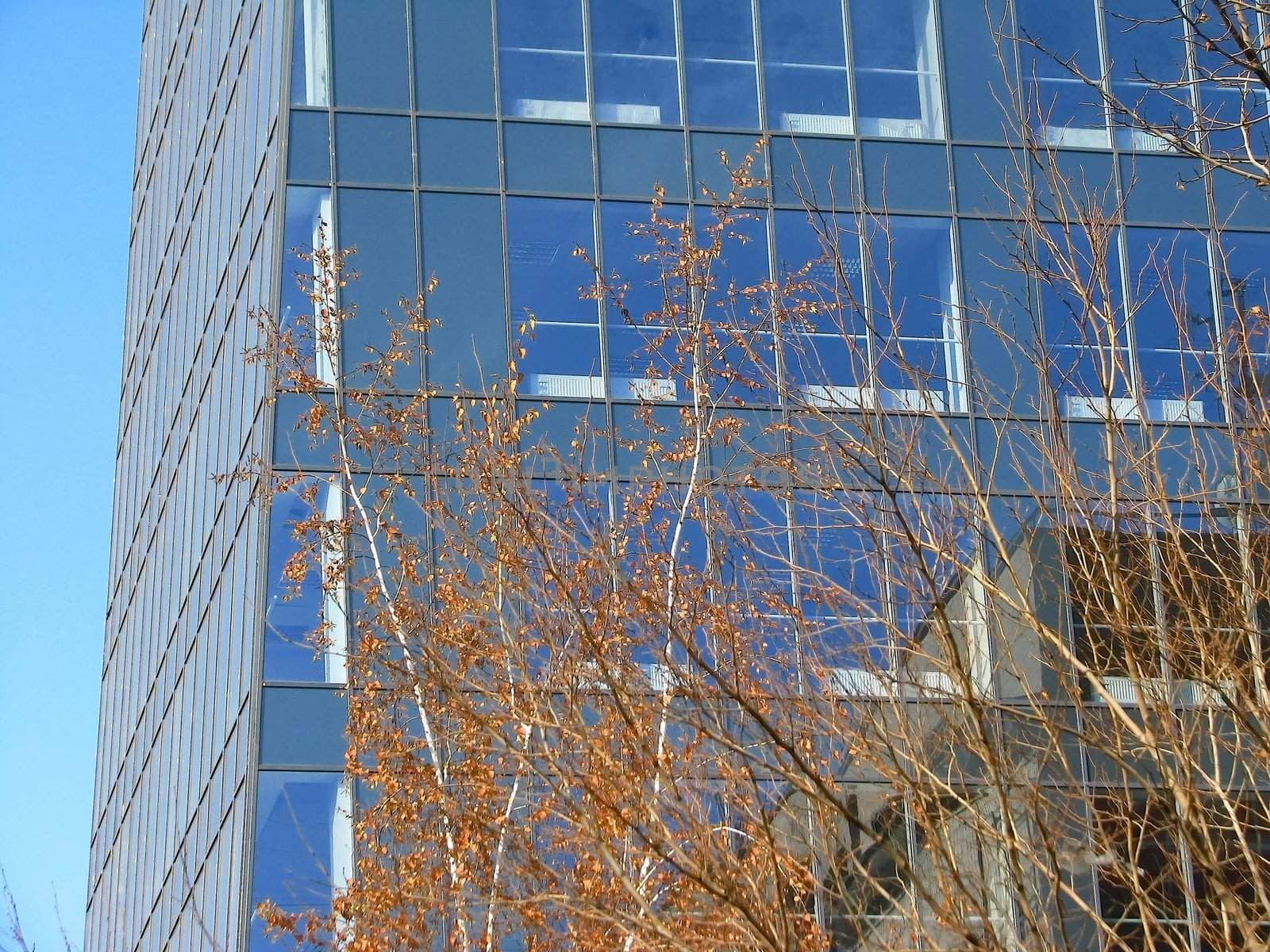 The Business center building of concrete and glass