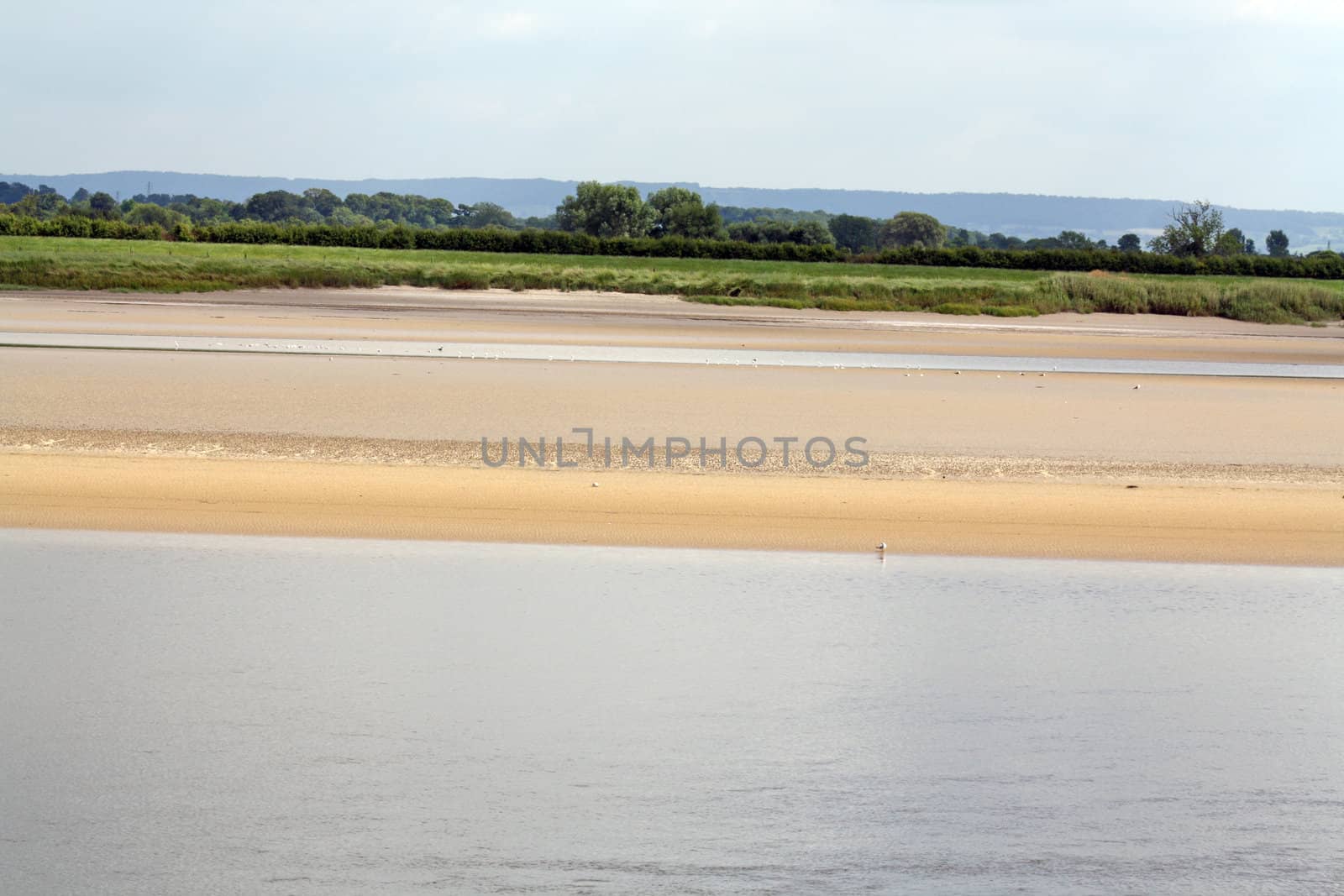beach scape