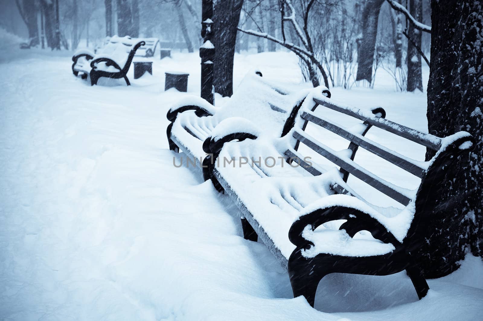 snowy benches in the winter park by starush