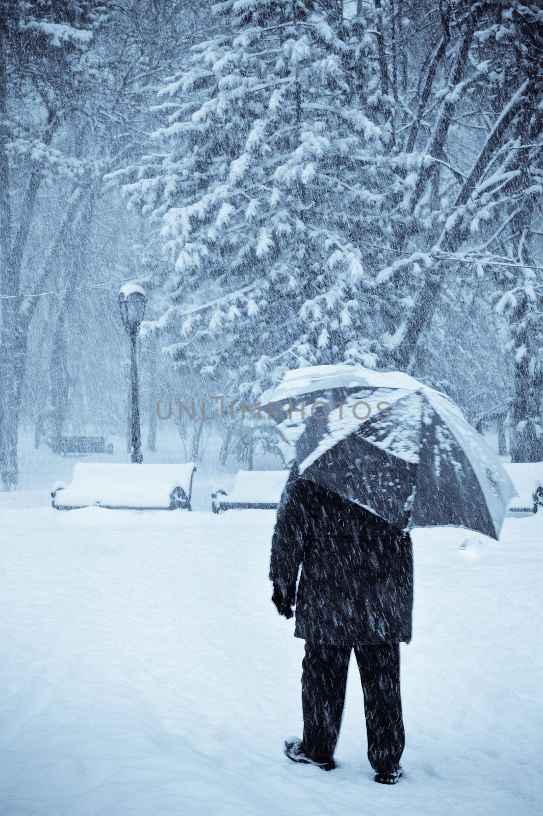 lonely old man with umbrella walking under the snow, selenium toned