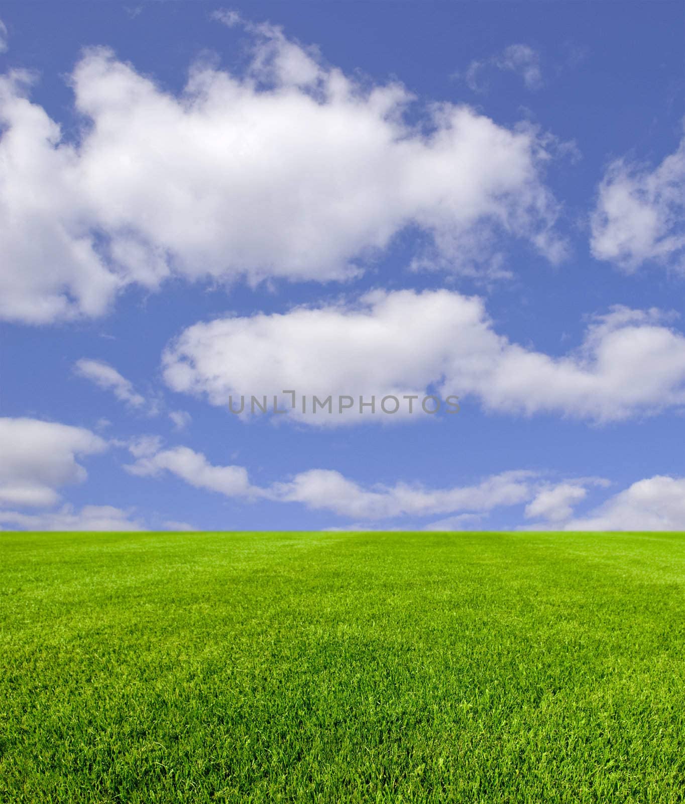 Sky and grass by f/2sumicron