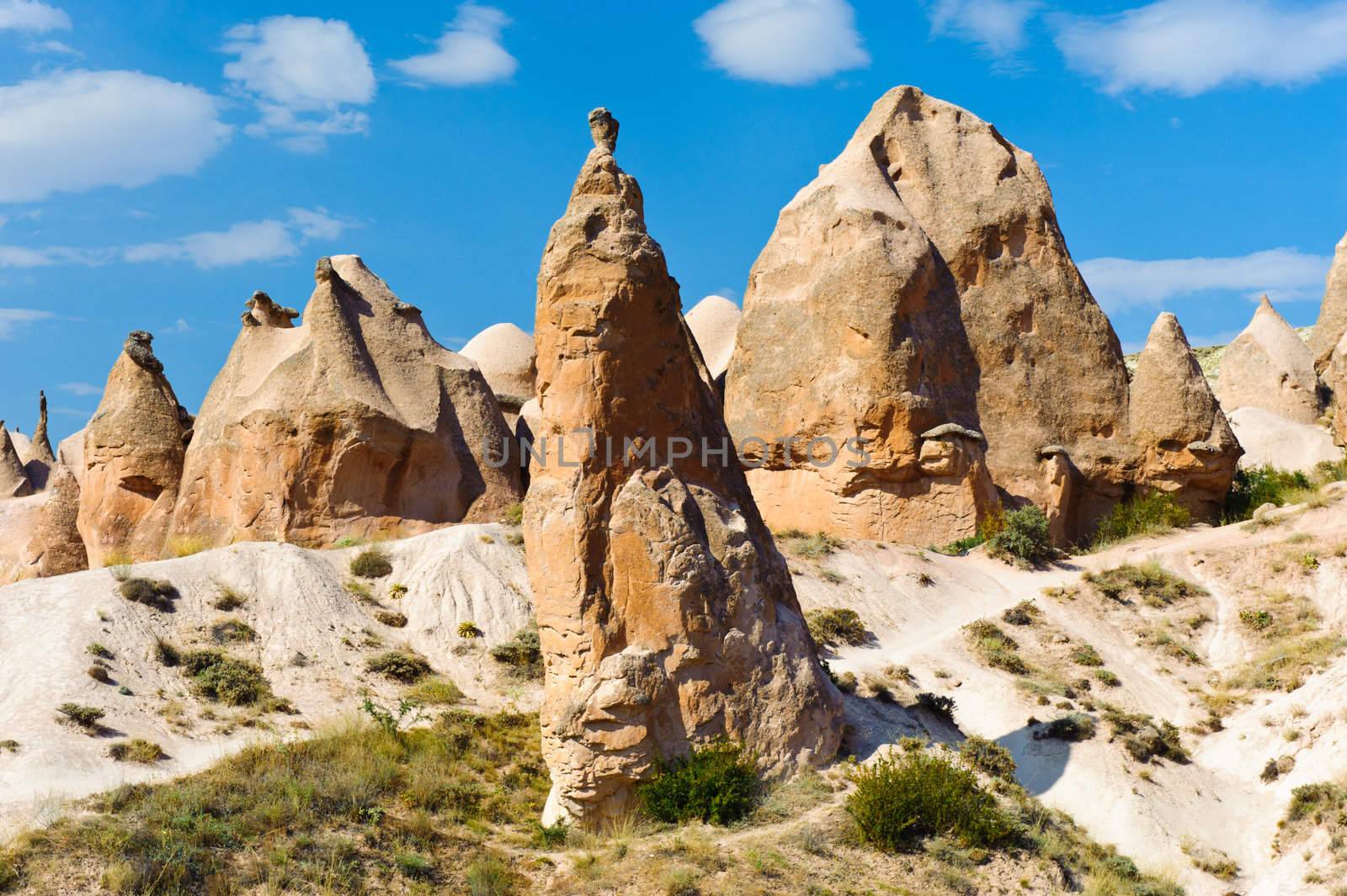 Sandstone rock similar to camel in the Cappadocia, Turkey