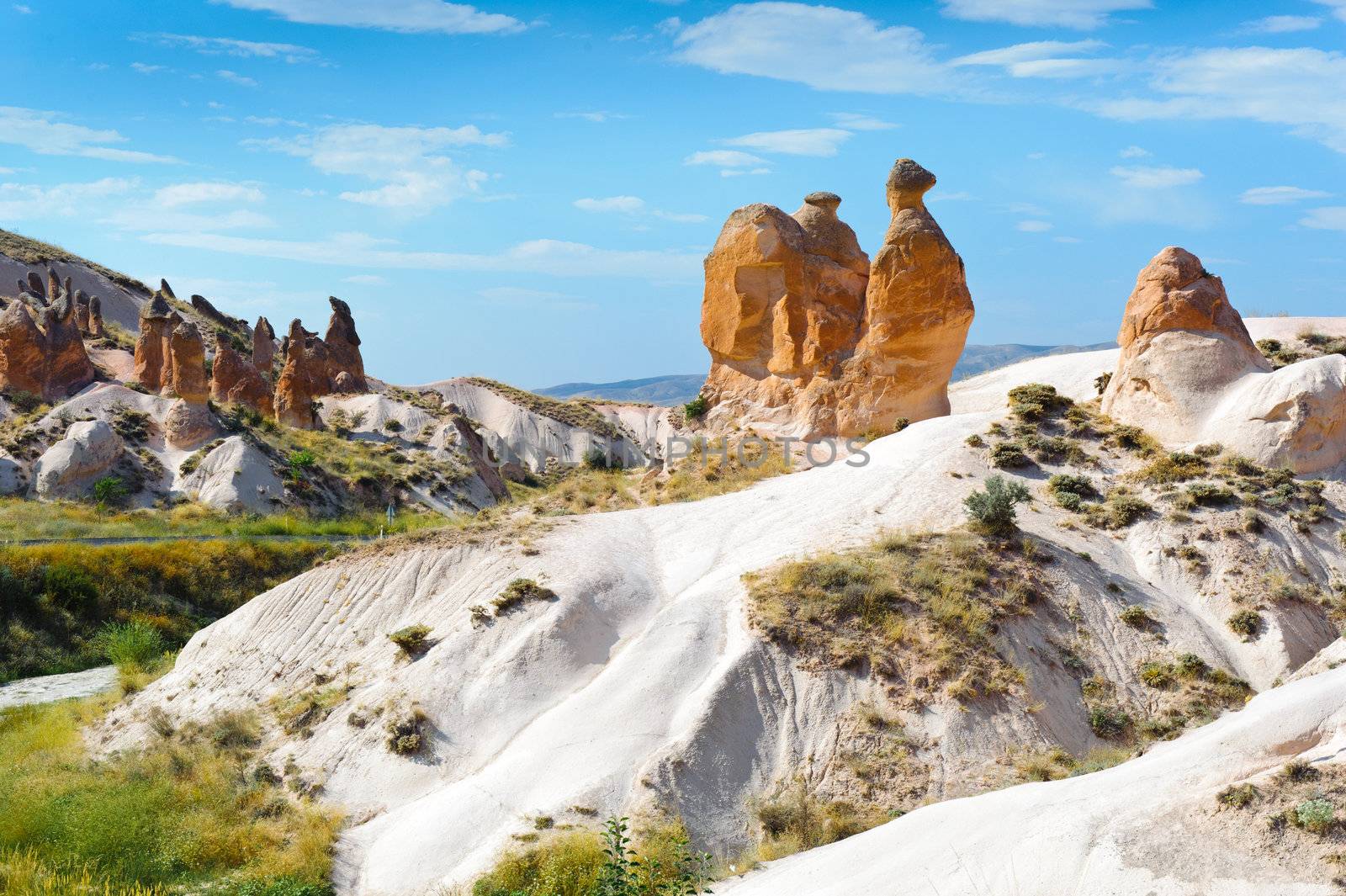 Sandstone rock similar to camel in the Cappadocia, Turkey