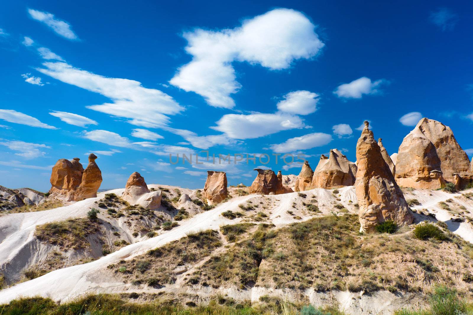 Sandstone rock similar to camel in the Cappadocia, Turkey