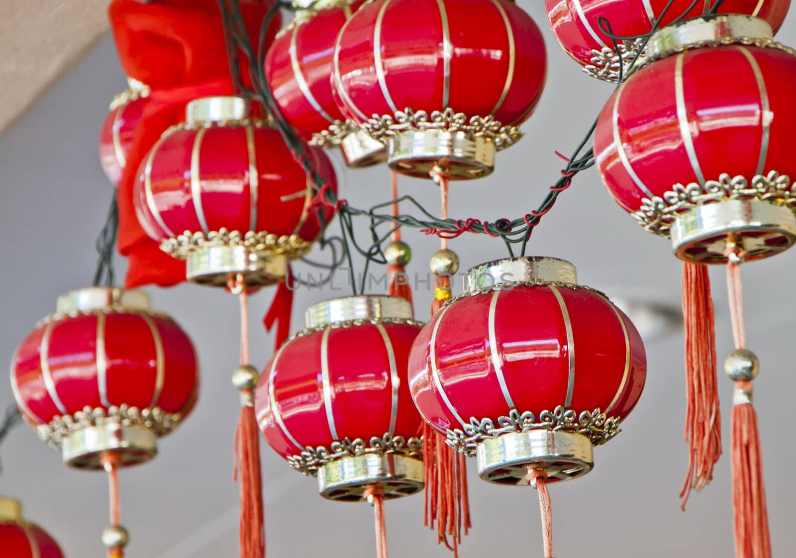 Lanterns displayed for Chinese New Year celebration