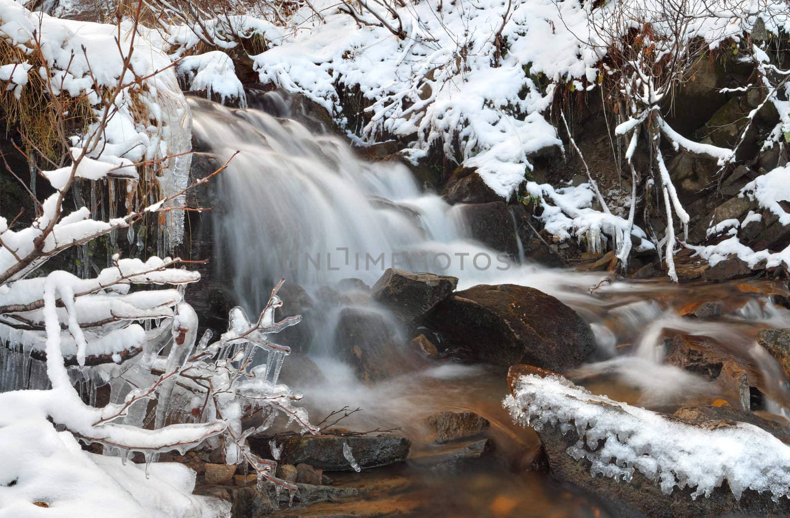 First frost on the spring by andrew_mayovskyy