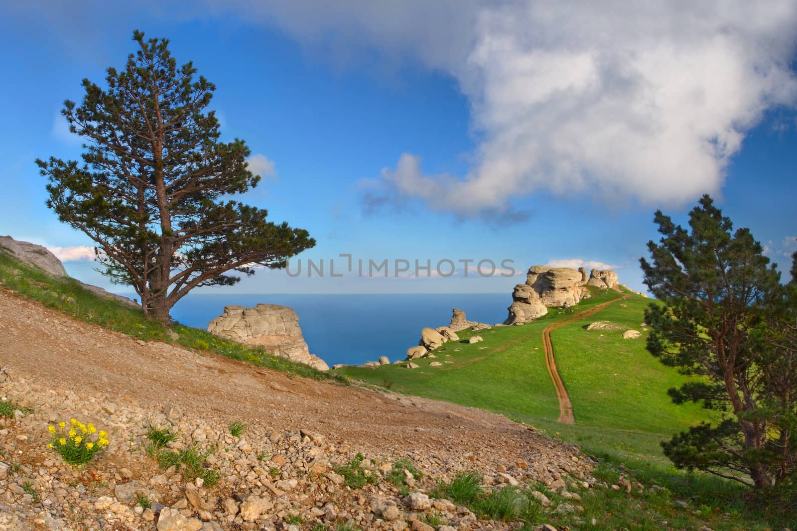 Colorful summer landscape in the mountains