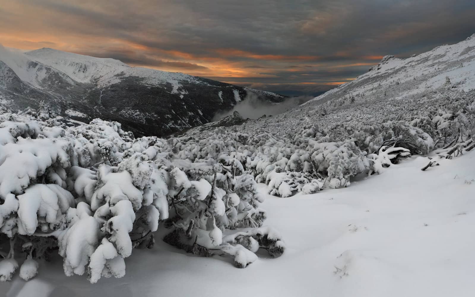 Mystical winter evening in the mountains by andrew_mayovskyy