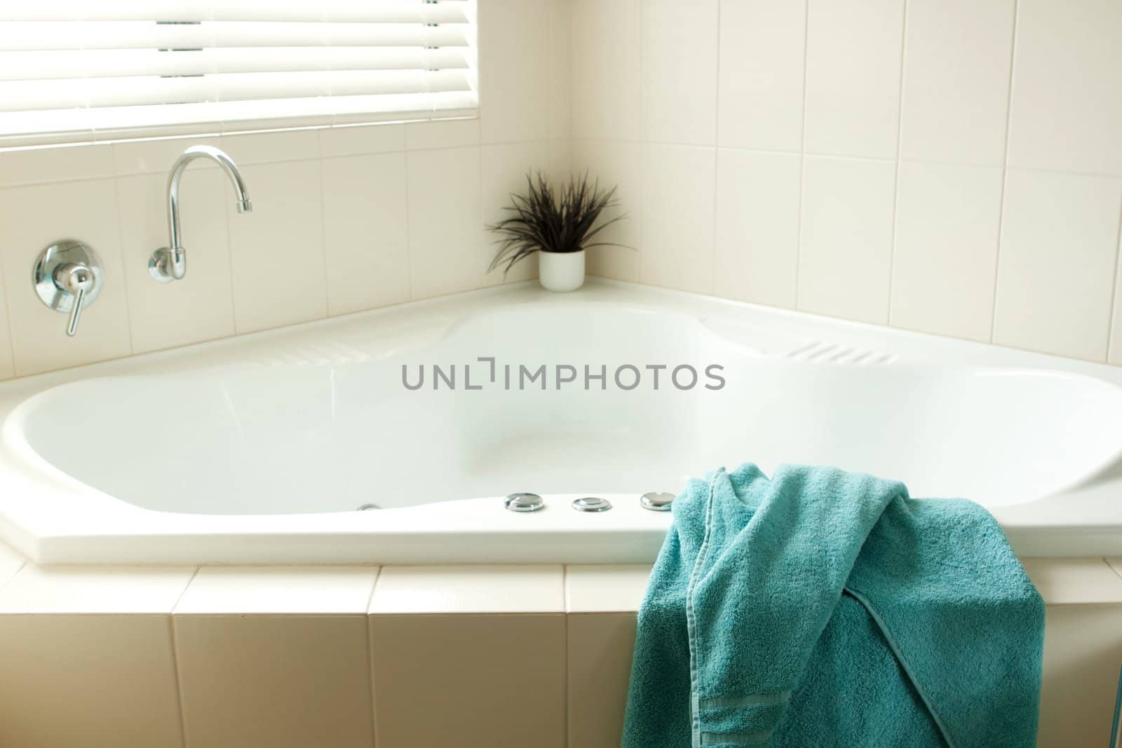 Images of a modern bathroom taken with natural light