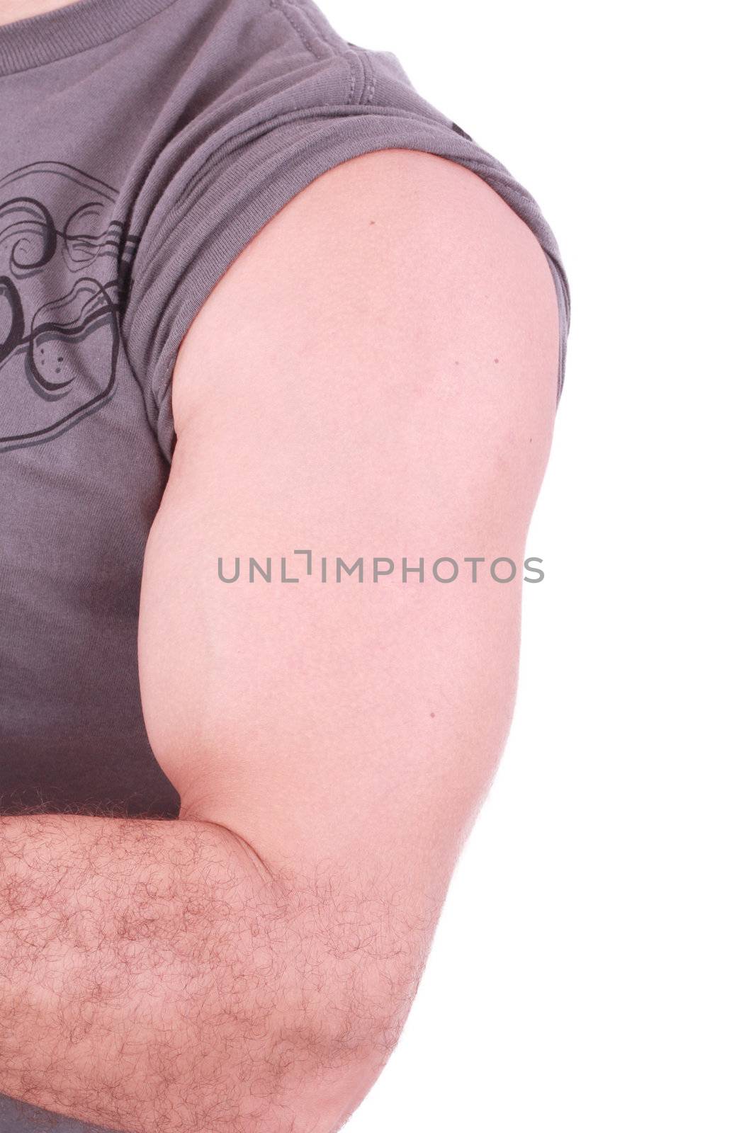 The male arm isolated on white background. by dacasdo