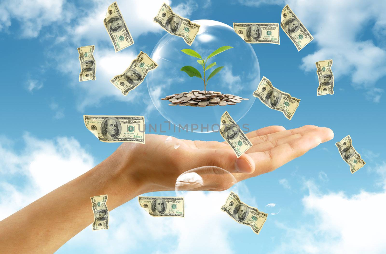 american dollar in hand on blue sky background by rufous