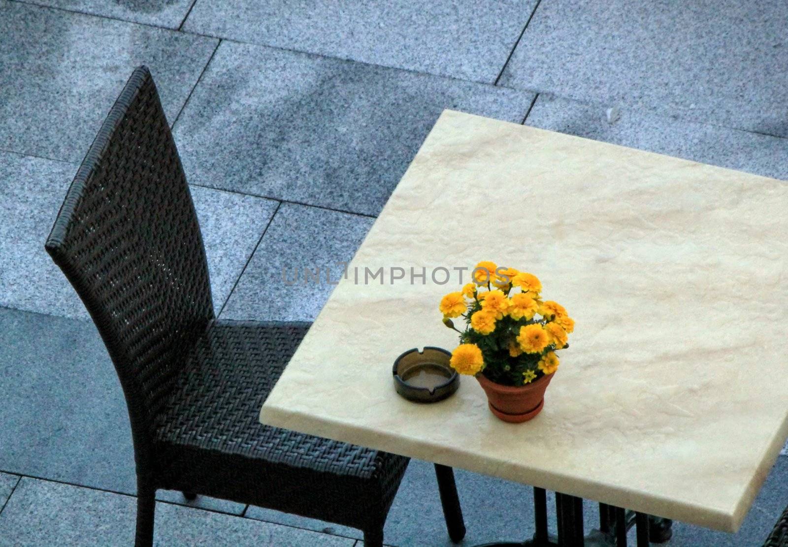 A black chair, a table with yellow flowers at a modern restaurant place