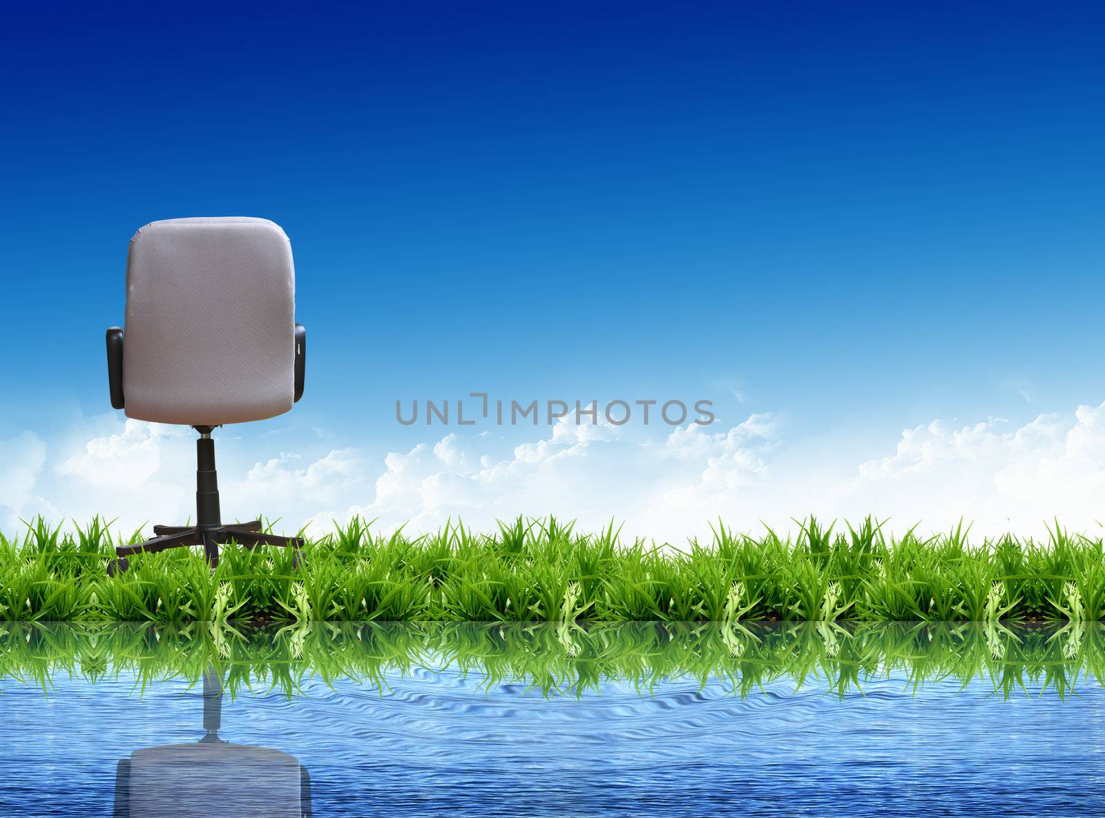 Office chair standing on green meadow by rufous